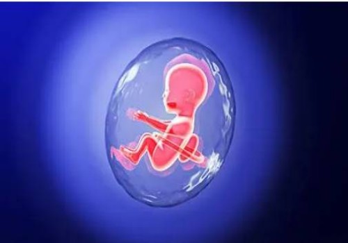 石家庄助孕：提前发现孕期胎儿畸形征兆，警惕下腹痛和流血的风险！