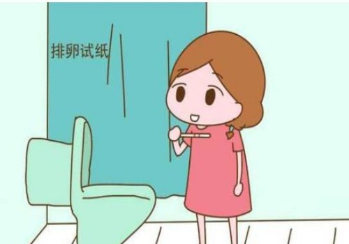 单角子宫想怀孕不是难事，想要怀孕概率更高还得做好这四点