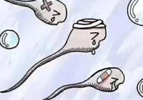 专家科普精囊炎对怀孕的影响，会不会导致胎儿畸形还得看病症严重程度