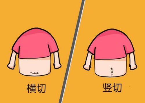 石家庄代怀孩子：2023天津一中心试管婴儿成功怀孩子策略，费用及成功率参考