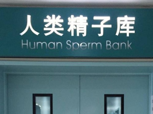 石家庄代生代怀公司：正常胎儿和唐氏儿四维到底有何不同？缺陷宝宝是这样分辨的