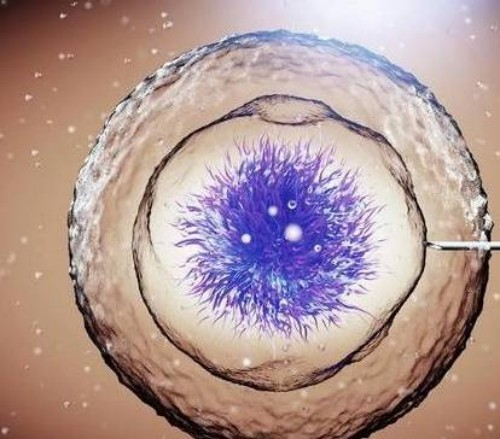 35岁生孩子并非全是坏处，也会带来一些好处的