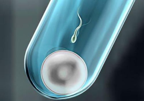 石家庄供精试管：2023年南阳中心医院试管婴儿的流程有哪些？附成功率和具体流程