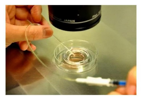 石家庄代生机构：夫妻不孕不育需要做什么检查？你做对了吗