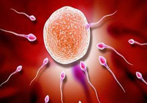 备孕期间喝酒同房的后果一览，酒后同房这些危害要知道