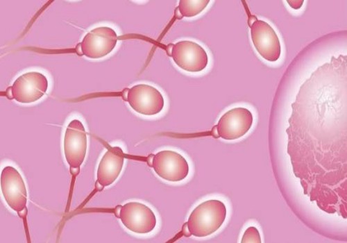 石家庄试管供卵代怀：做试管生育保险可以报销吗,什么时候纳入医保呢