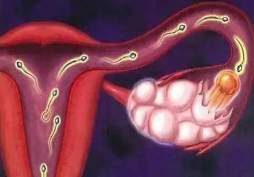 无痛人流后做B超检查很重要，B超检查的时间不能超过四周